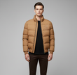 Puffer Jacket (Golden)